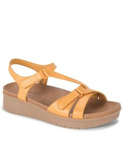 Steviesealey.shop016aa83c0e 1