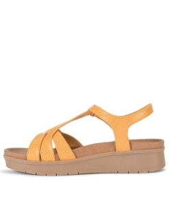 Steviesealey.shop016aa83c0e 2