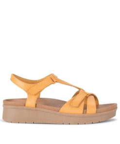 Steviesealey.shop016aa83c0e 3