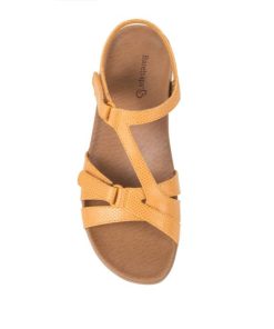 Steviesealey.shop016aa83c0e 4