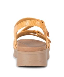 Steviesealey.shop016aa83c0e 5