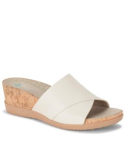 Steviesealey.shop0210744585 1