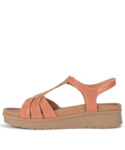 Steviesealey.shop061f071a7c 2