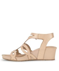 Steviesealey.shop08ae4e45b1 2