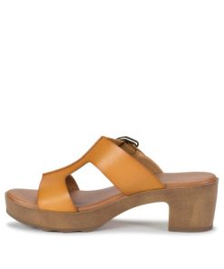 Steviesealey.shop10260316db 2