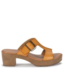 Steviesealey.shop10260316db 3