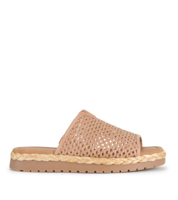 Steviesealey.shop11127d1dee 3