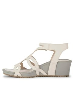 Steviesealey.shop21f9a144eb 2