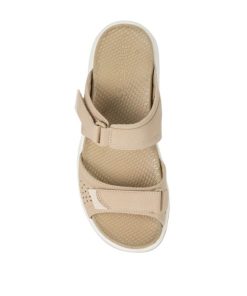 Steviesealey.shop254e8f1c69 4