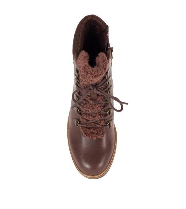 Steviesealey.shop292d8f824f 4