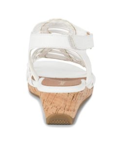 Steviesealey.shop2a03324a9b 5