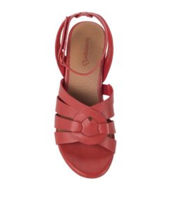 Steviesealey.shop2b39e92787 4