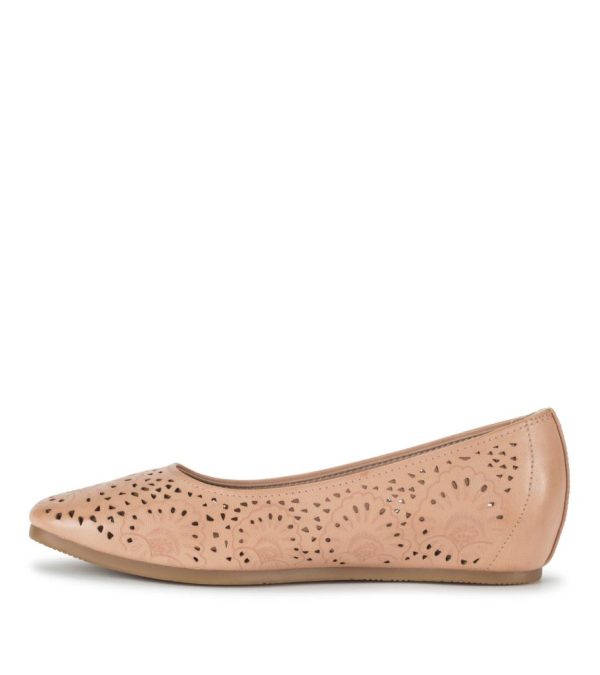 Steviesealey.shop2b888da24e 2