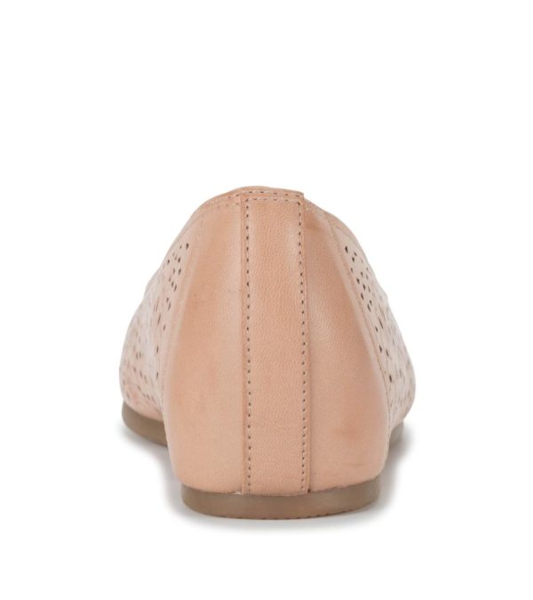 Steviesealey.shop2b888da24e 5