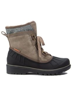 Steviesealey.shop2ec69daa17 3