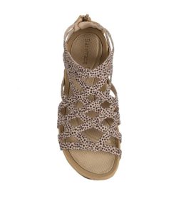 Steviesealey.shop2ee39a810d 4