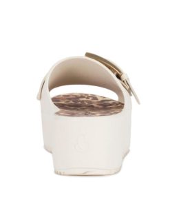 Steviesealey.shop320b262d13 5