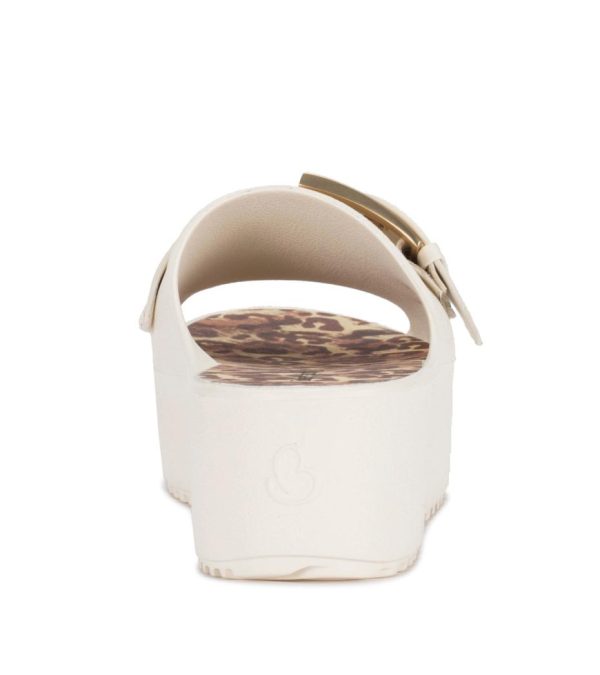 Steviesealey.shop320b262d13 5