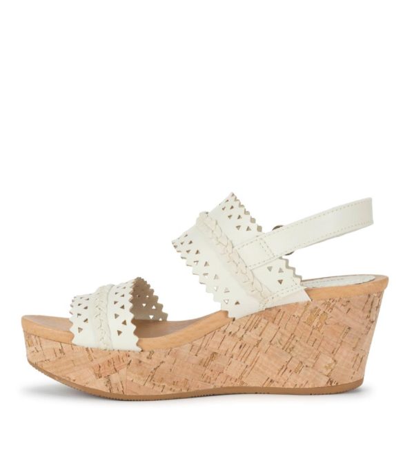 Steviesealey.shop48e99a1993 2