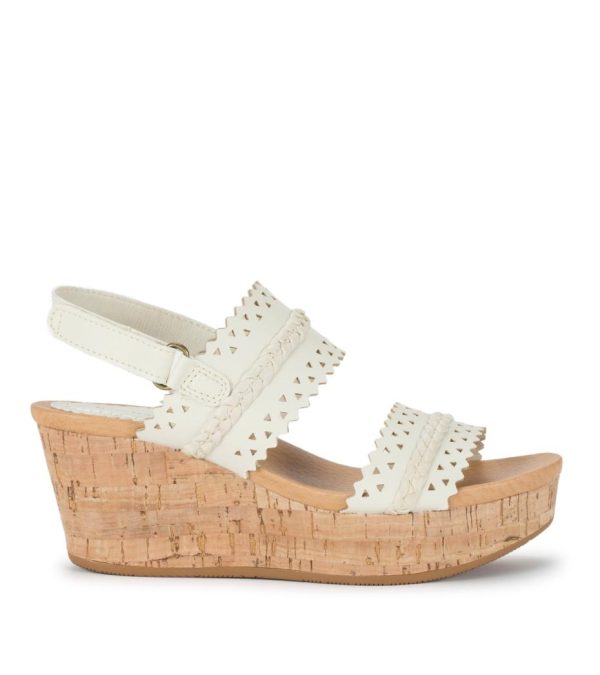 Steviesealey.shop48e99a1993 3