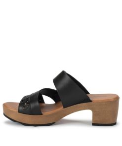 Steviesealey.shop4ae1aecdc5 2