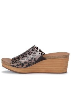 Steviesealey.shop4eeeb4e7a5 2