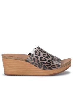 Steviesealey.shop4eeeb4e7a5 3