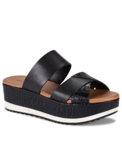 Steviesealey.shop511467dc38 1