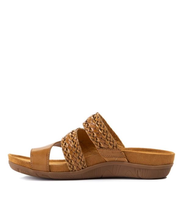 Steviesealey.shop5501255ee8 2