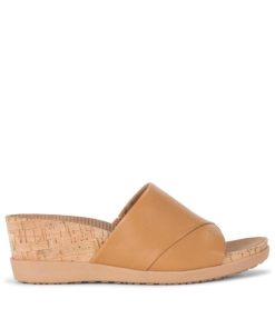 Steviesealey.shop68a2f156d4 3