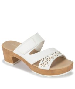 Steviesealey.shop6bcc9b0dff 1