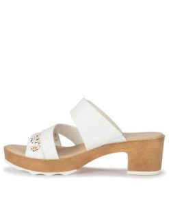 Steviesealey.shop6bcc9b0dff 2