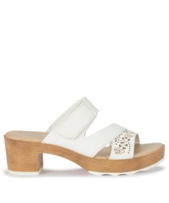 Steviesealey.shop6bcc9b0dff 3