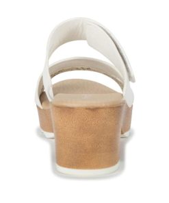 Steviesealey.shop6bcc9b0dff 5