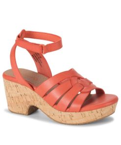 Steviesealey.shop77cc1a1cec 1