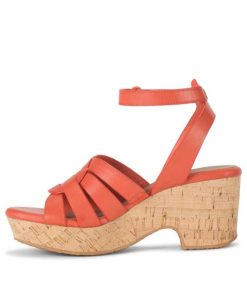 Steviesealey.shop77cc1a1cec 2