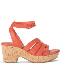 Steviesealey.shop77cc1a1cec 3