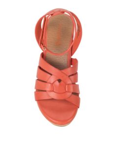 Steviesealey.shop77cc1a1cec 4