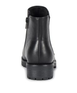 Steviesealey.shop7bccaa055f 5