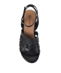 Steviesealey.shop82623eb295 4