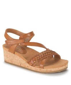 Steviesealey.shop83442c8781 1