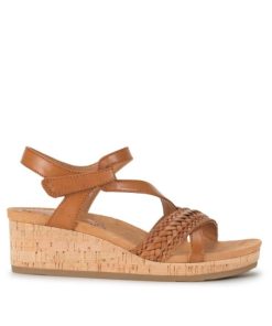 Steviesealey.shop83442c8781 3