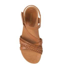 Steviesealey.shop83442c8781 4