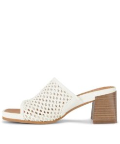 Steviesealey.shopa231927248 2