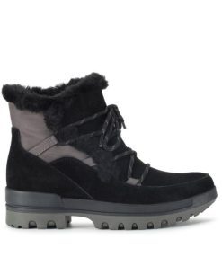 Steviesealey.shopa2900078ad 3