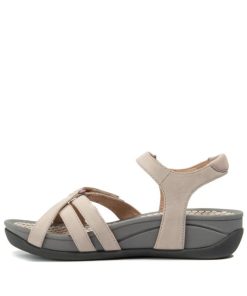 Steviesealey.shopaab7da9e5b 2