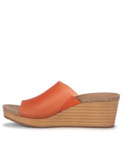 Steviesealey.shopbce2e80f8f 2