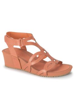 Steviesealey.shopbeb2e4a6aa 1