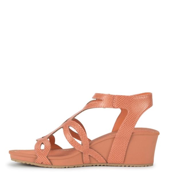 Steviesealey.shopbeb2e4a6aa 2