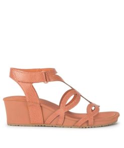 Steviesealey.shopbeb2e4a6aa 3